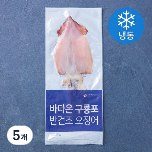 바다온 포항시 인증 한마리 구룡포 반건조 오징어 (냉동), 130g, 5개