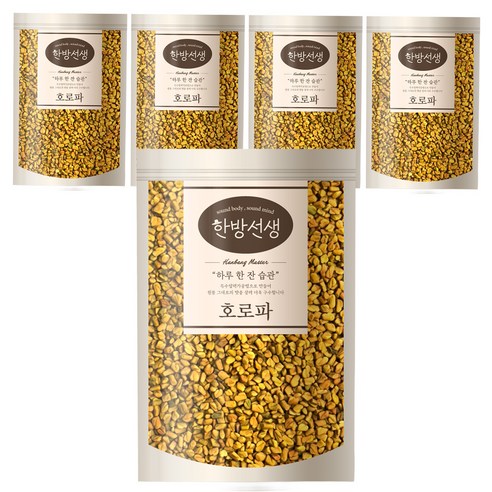 한방선생 호로파 씨앗 특품, 600g, 5개