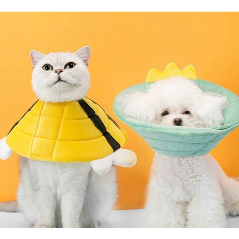 소중한 반려동물을 위한 편안한 넥카라, 바오스레