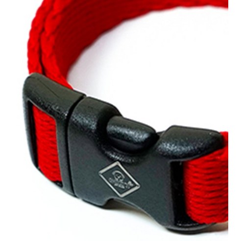 댕댕이 스타일과 안전을 책임지는 아띠지기 웨빙 목줄!