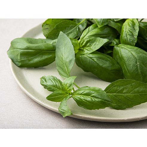 향긋한 국내산 바질로 식탁을 풍성하게!