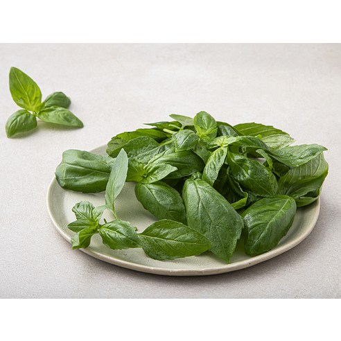 향긋한 국내산 바질로 식탁을 풍성하게!