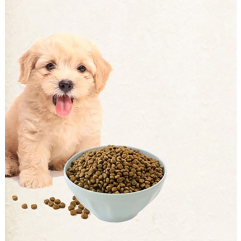 강아지의 건강한 관절을 위한 최상의 선택