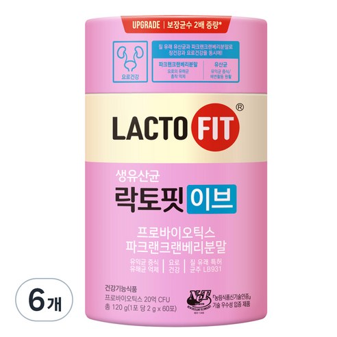 락토핏 이브 유산균 60p, 120g, 6개