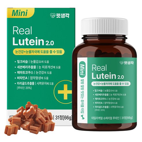 펫생각 강아지 데일리케얼 영양제, 눈물개선/눈건강, 1개, 66g