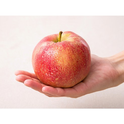 아삭아삭 세척 사과먹음직스러운 빛깔을 자랑하는 사과를 만나보세요.