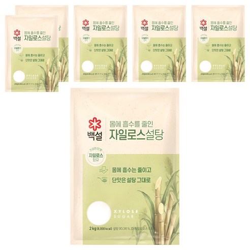 백설 자일로스 설탕, 2kg, 6개