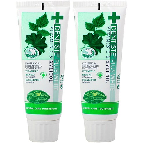 덴티스테 플러스 화이트 치약 튜브형, 60g, 2개