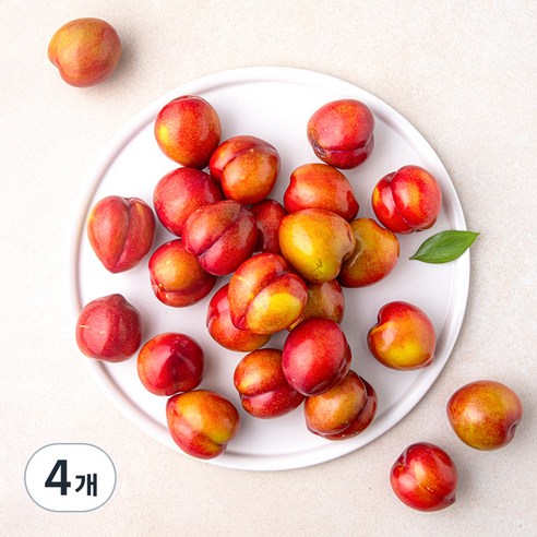 가족 의성 당도선별 대석자두, 1.2kg(대), 4개