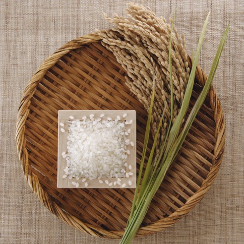 황금빛 들녘의 정기를 담은 2024년산 청원생명농협 왕의밥상 백미