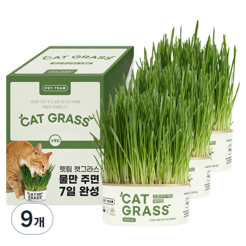 펫팀 고양이 캣그라스, 새싹밀, 9개