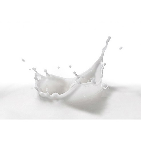 맛있는 펫밀크로 댕댕이 눈 건강을 간편하게!