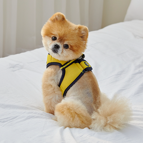RealPet 프리세이프 강아지 조끼 하네스, 옐로우