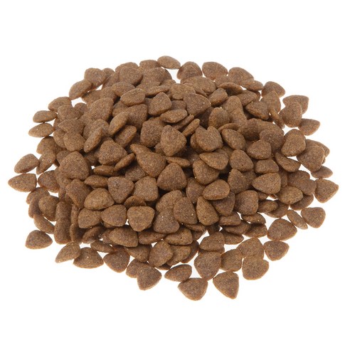 사랑하는 고양이를 위한 최고의 선택