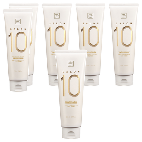 미쟝센 살롱10 단백질 트리트먼트 손상모발용, 250ml, 6개
