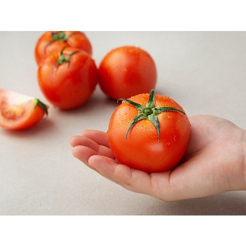 신선하고 맛있는 친환경 토마토