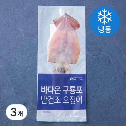 바다온 포항시 인증 한마리 구룡포 반건조 오징어 (냉동), 90g, 3개