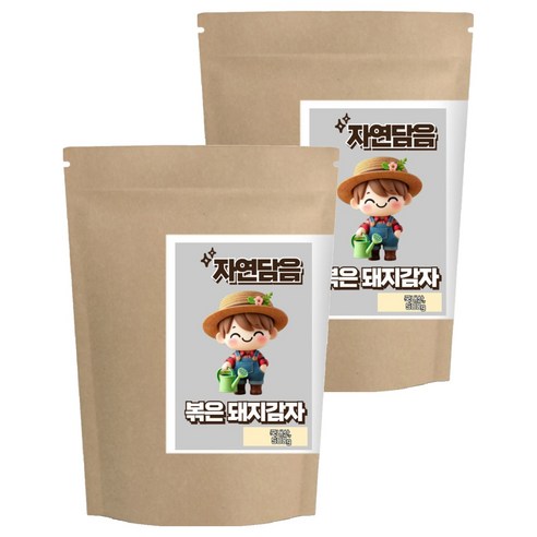 자연담음 볶은 돼지감자 국내산, 500g, 2개