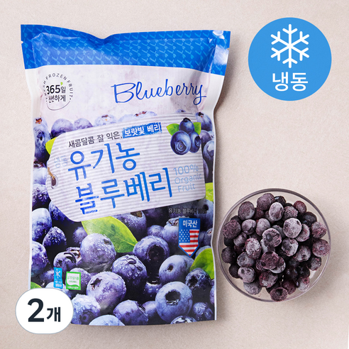호재준 유기가공식품 인증 블루베리 (냉동), 500g, 2개