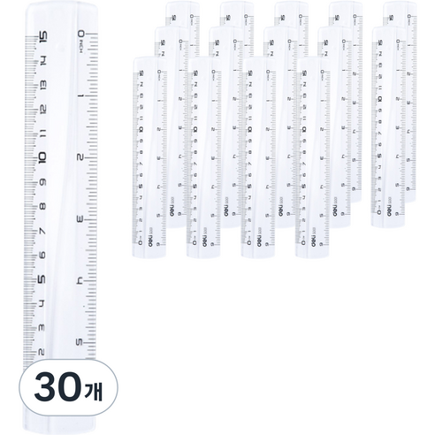 델리 잡기 쉬운 자 15cm, 투명, 30개
