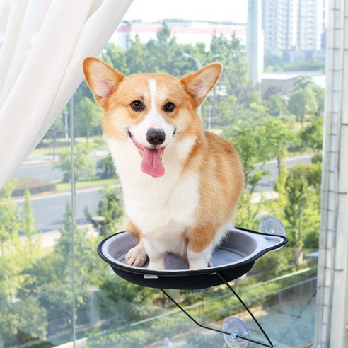 아리코 DrMini 고양이 유리 흡착 해먹, 그레이, 1개