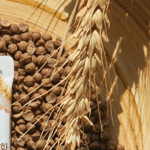 풍성한 영양, 빛나는 활력: 라이프힐 국내산 맥주효모환으로 되찾는 건강한 아름다움