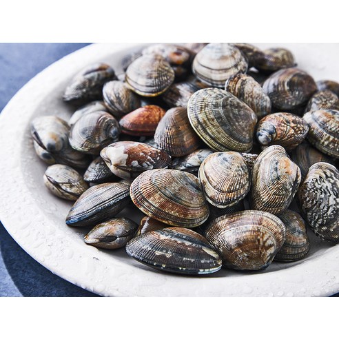 싱그러운 바다의 숨결, 곰곰 국산 참 바지락으로 식탁을 풍요롭게