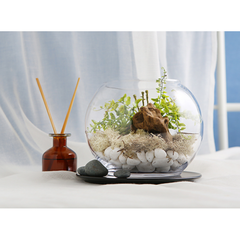 투명한 유리 속 작은 행복, 삼호유리 볼어항으로 시작하세요.