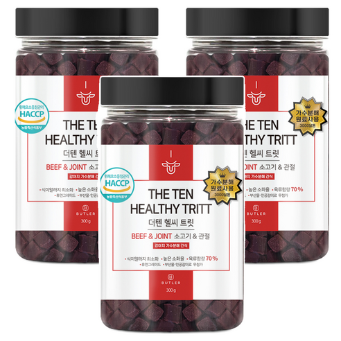 더텐소프트 강아지 헬씨 트릿, 소고기&관절, 300g, 3개