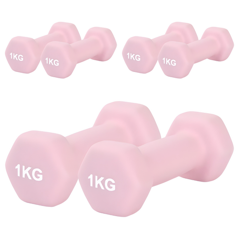 리브스포 논슬립 아령, 1kg, 6개