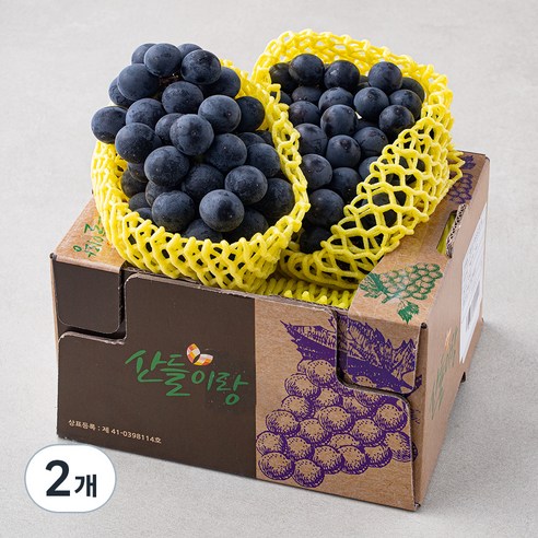 산들이랑 비파괴당도선별 거봉, 1kg, 2개
