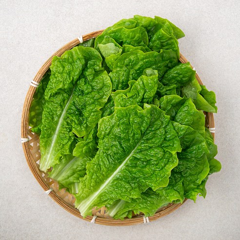 곰곰 청상추, 500g, 1개