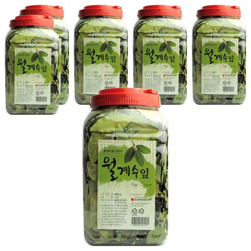 동광 월계수잎, 230g, 6개