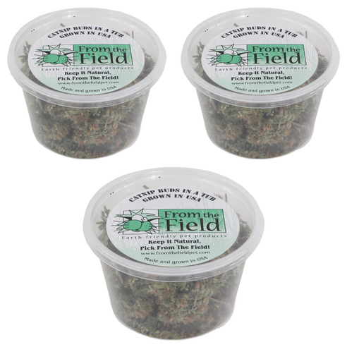 프롬더필드 고양이 캣닢 TUB 14.17g, 캣닢 버드, 3개