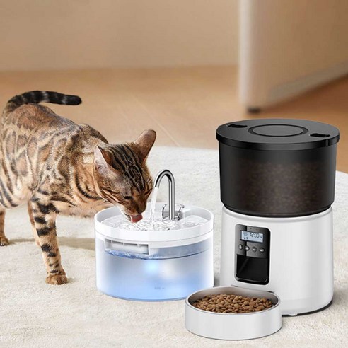 늦잠도 걱정 없이! 로제코 자동 급식기로 댕냥이 밥 걱정 끝!