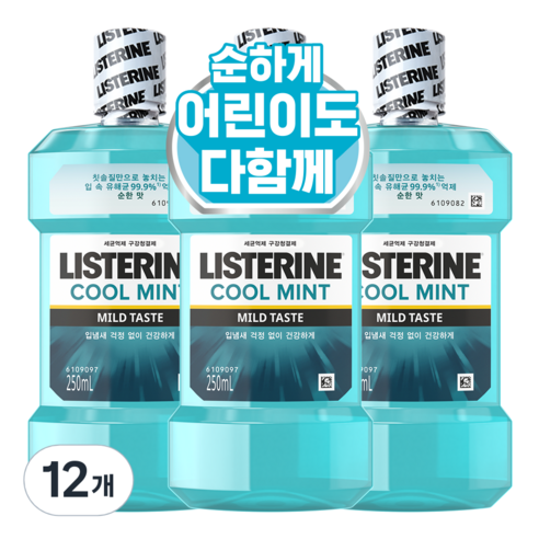리스테린 쿨민트 마일드 구강청결제, 250ml, 12개
