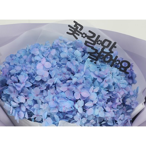 영원히 피어나는 아름다움, 라비나 프리저브드 플라워 수국