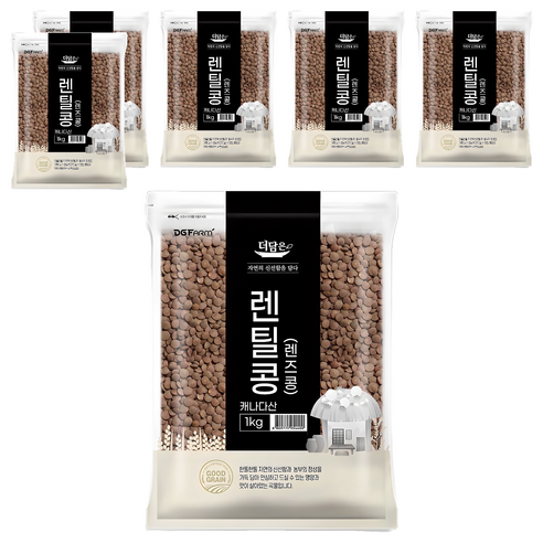 더담은 렌틸콩 렌즈콩, 1kg, 6개