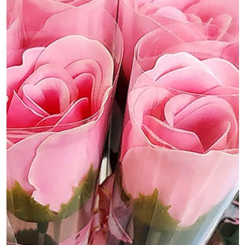 시들지 않는 아름다움으로 마음을 전하세요