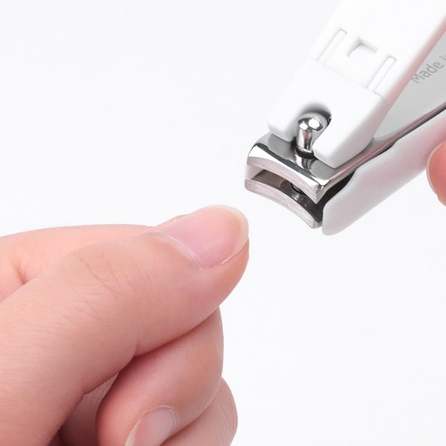 합리적인 가격, 깔끔한 손질, 당신의 일상을 빛내는 작은 동반자