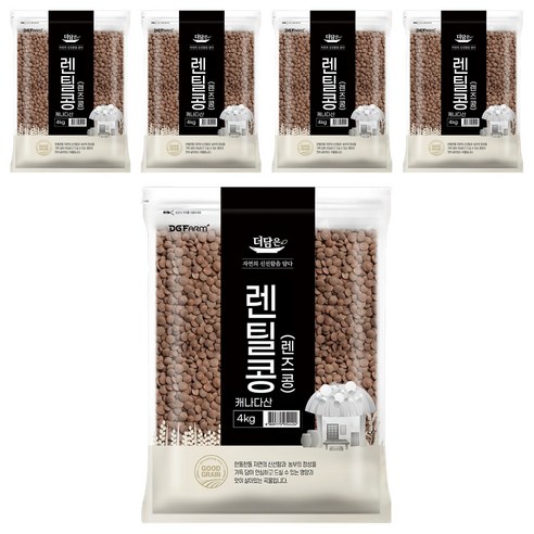 더담은 렌틸콩 렌즈콩, 4kg, 5개