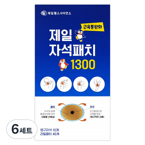 제일헬스사이언스 자석패치 1300 근육통완화 자석파스 영구자석 10p + 리필패치 40p 세트, 6세트