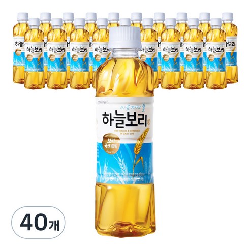 하늘보리 차 음료, 325ml, 40개