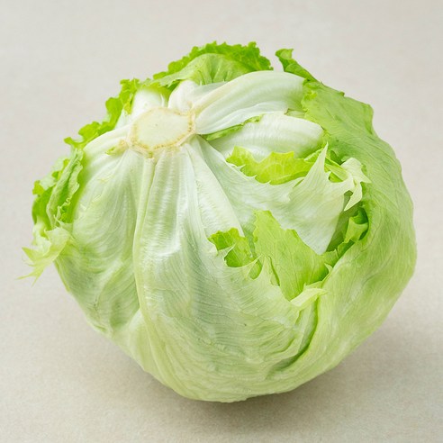 양상추 300g 이상