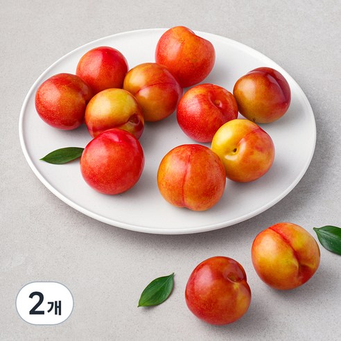 아주마 산지직송 저탄소인증 영동자두, 1.5kg, 2개