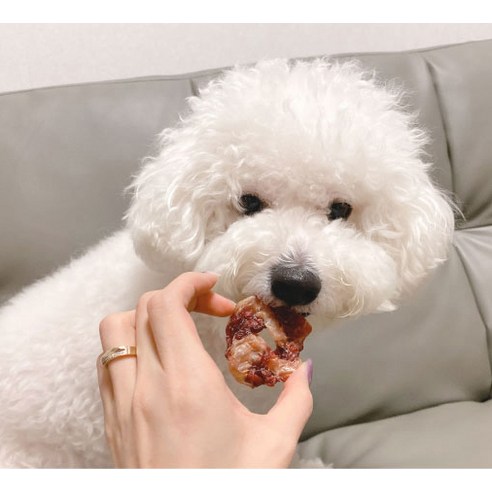 자연의 맛과 영양이 가득한 네츄럴코어 힘줄 & 오리링 육포