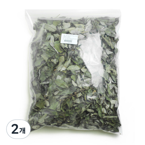 동광 참가시나무잎, 600g, 2개