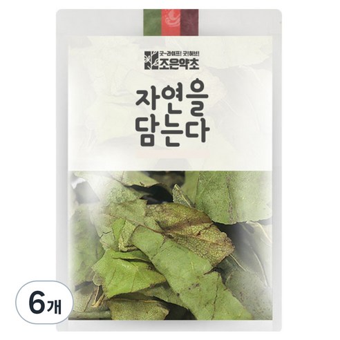 조은약초 구지뽕 잎, 200g, 6개