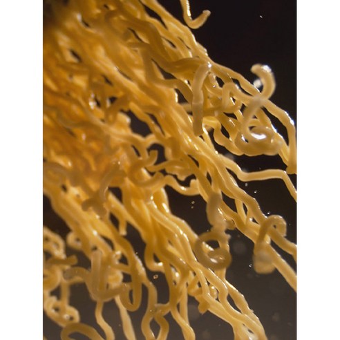 더미식 매움주의 장인라면: 촉신경을 깨우는 불타는 맛의 라면