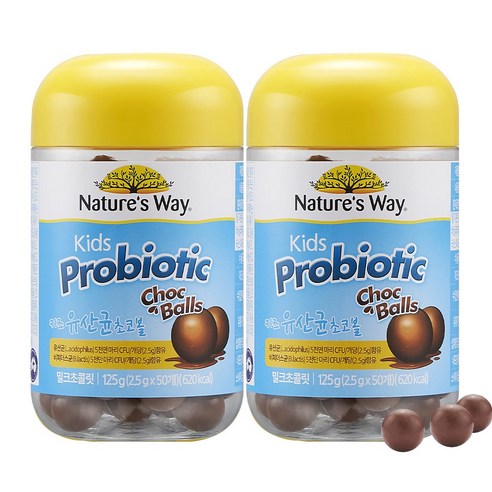 네이처스웨이 키즈 유산균 초코볼 프로바이오틱스 125g, 2개 
어린이 건강식품